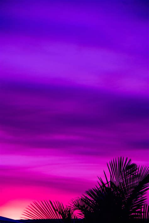 Neon Skies Canon Canon Eos 60d Ffa2ae Purple Sunset Sunset Sky