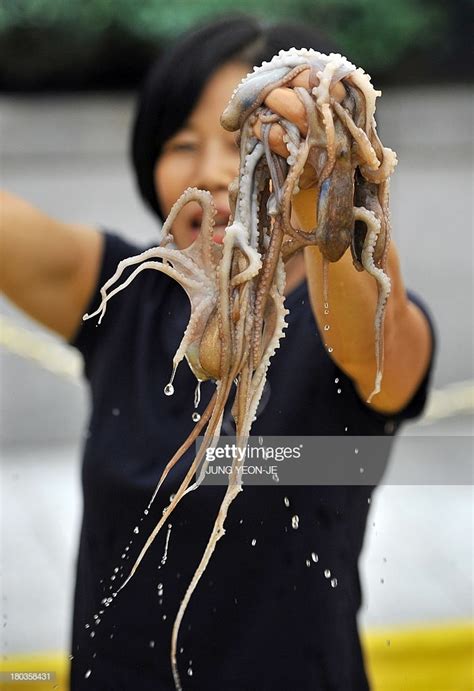 Sannakji Live Octopus Sashimi Strange Food In Korea Unusual Korean