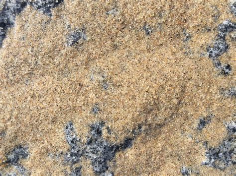 Wet Sand Over Granite Rock Texture Free Textures
