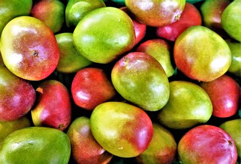We did not find results for: Mangue - Mouvement J'aime les fruits et légumes