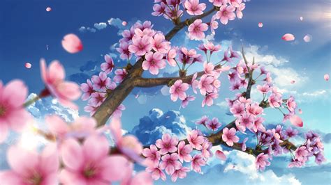 Amazing Anime Wallpaper Cherry Blossom Japan Background