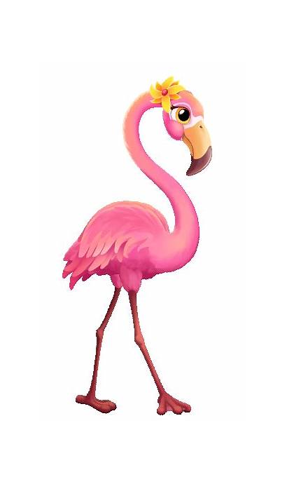 Animation Zoo Flamingo Behance Katherine
