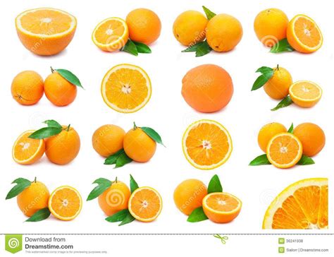 Oranges Stock Photo Image Of Background White Nature 36241938