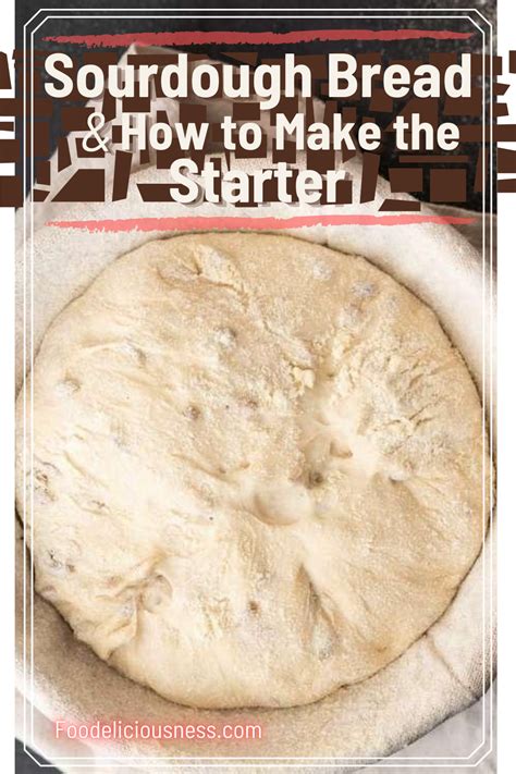 Sourdough Bread And How To Make The Starter Foodeliciousness Hot Sex Picture