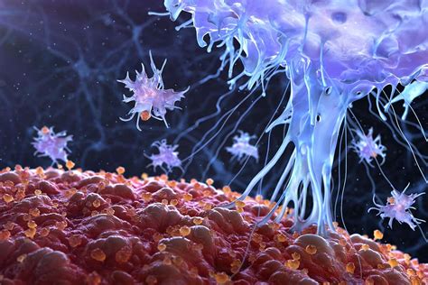 Beating Cancer How Viruses Are Being Used To Infect And Kill Tumours