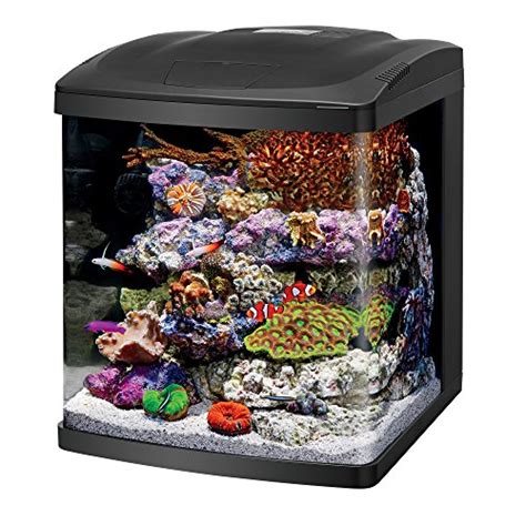 Cool Aquariums With Built In Filters Pros Cons