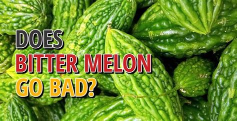 Does Bitter Melon Go Bad Pokpoksom