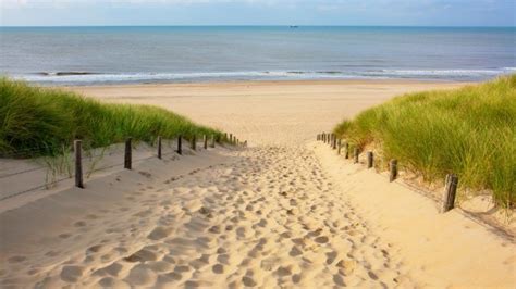 Belgian Nude Beach Blocked On Fears ‘activity Could Spook Wildlife