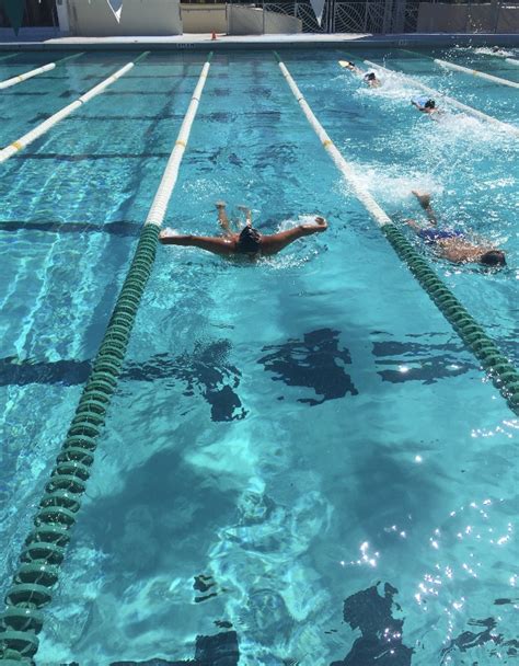 Coral Gables Swimming Dives Into A New Season Cavsconnect