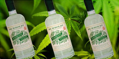 There’s Cannabis Infused Vodka Now And You Need To Try It Herb