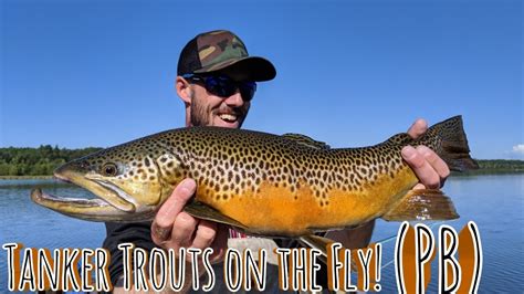 Tanker Trout On The Fly Pb Tiger Trout Youtube