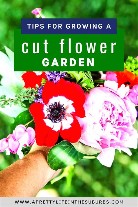Tips For Growing A Cut Flower Garden A Pretty Life In The Suburbs
