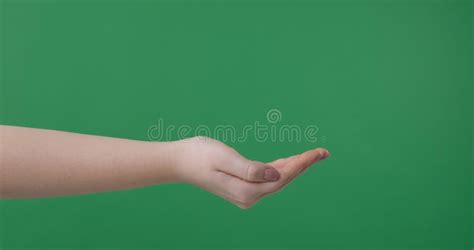Side View Of Female Hand Making Opened Palm Cupped Gesture Stock Video