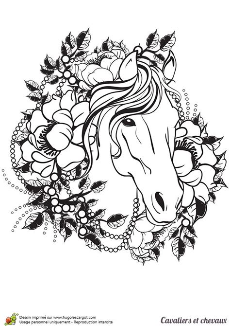 44 Inspirational Pict Adult Horse Coloring Page Horse Coloring Pages