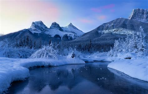 Wallpaper Winter Snow Trees Mountains River Canada Albert