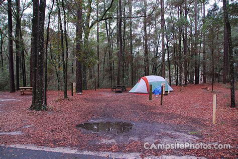 Suwannee River State Park Campsite Photos Availability Alerts