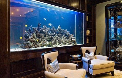 Top 7 Aquarium Designs For Your Interior Design Reverasite