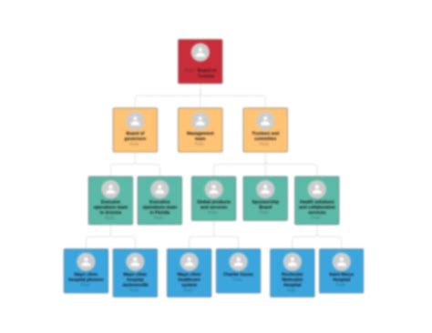 Solution Mayo Clinic Organizational Chart 1 Studypool