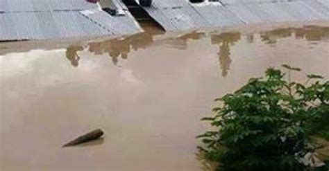 Hal ini biasa terjadi pada kendaraan yang menggunakan karburator (sistem bahan bakar konvensional). Banjir Sabah: DAP minta kerajaan ambil langkah pencegahan ...