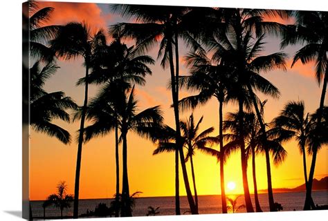 Hawaii Oahu Maunaloa Bay View Of Tall Palm Trees With Golden Sunset