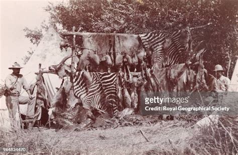 Rhodesia Photos And Premium High Res Pictures Getty Images