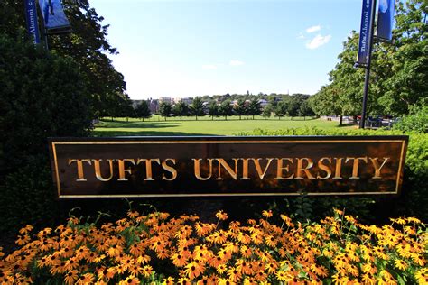 What Local Students Are Doing on Campus | Reading, MA Patch