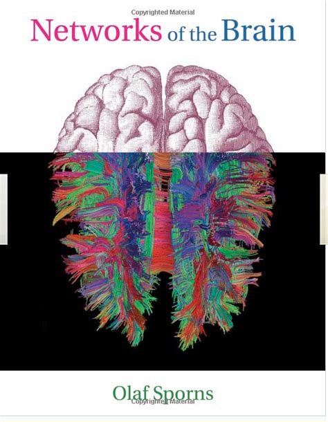 Networks Of The Brain Kurzweil