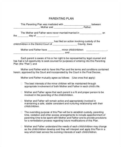 Custody Plan Template