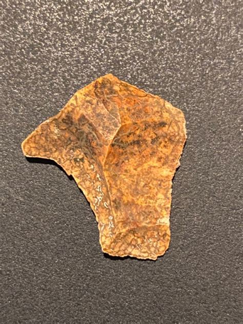 Pin On Artifacts Georgia Native Artifacts