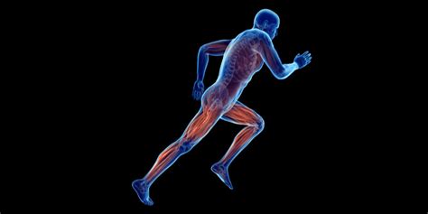 Neuromuscular Coordination What Is It And How To Improve It