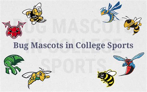 At gem state pest solutions, our mission is to find pests, remove them from your home or business, and use. Unusual College Mascots - Bug Mascots in College Sports