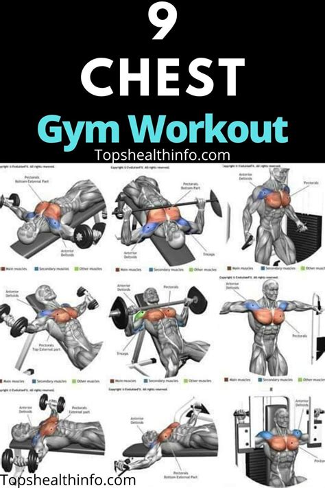 5 Day Inner Chest Workout Chart For Gym Fitness And Workout Abs Tutorial