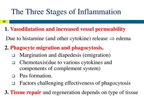 Ppt Basic Immunology Powerpoint Presentation Free Download Id4604037