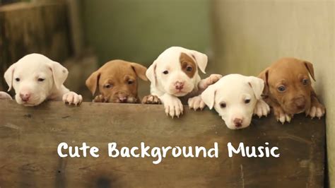 This action and powerful trap royalty free music track. Cute Background Music for Children Videos - Funny Kids ...