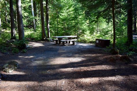 Site E004 Ohanapecosh Campground