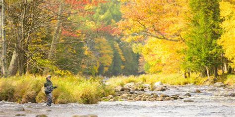 Autumn Fly Fishing In The Adirondacks Whiteface Region