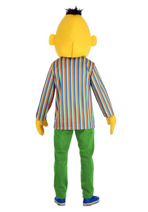 Adult Sesame Street Bert Costume