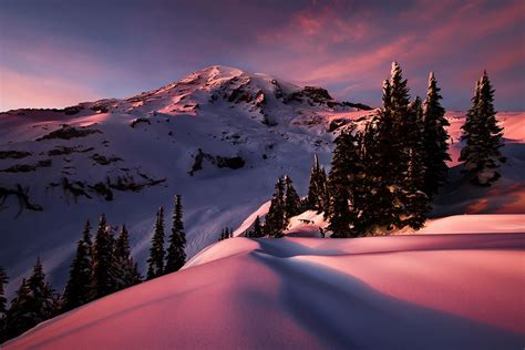Frozen Paradise Paradise Mount Rainier National Park Washington Usa