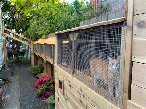 Explore 10 ‘purr Fect Cat Patios From Your Home And Make One See