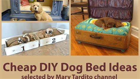 Cheap Diy Dog Bed Ideas Youtube