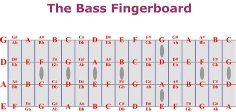 Let's take a closer look at this subject and see what the most important. Bass fretboard chart