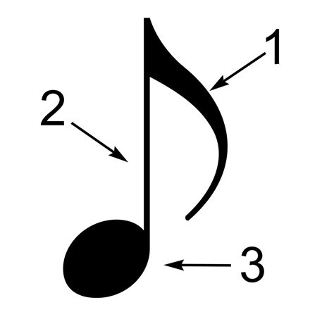 Fileparts Of A Musical Notesvg Wikimedia Commons