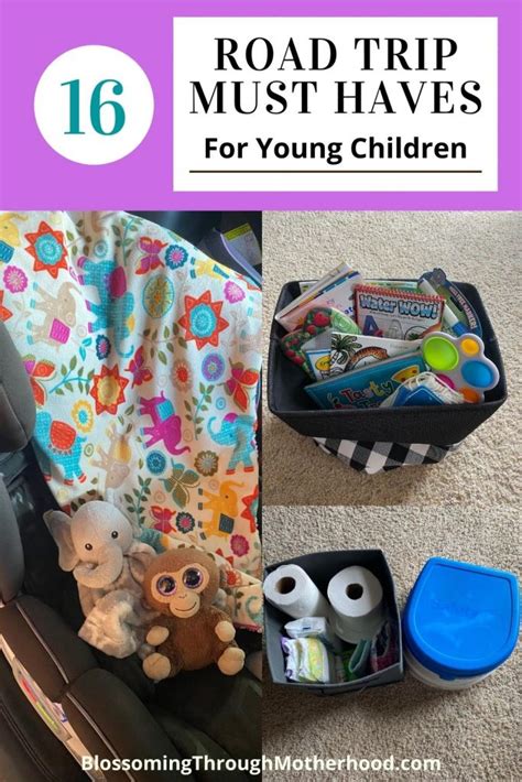 Road Trip Must Haves For Families With Young Children