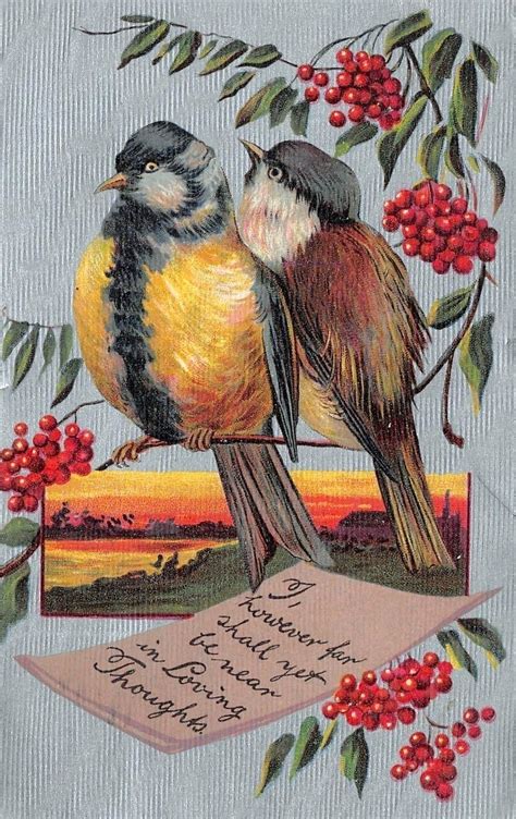 Vintage Bird Postcard Vintage Birds Postcard Artist