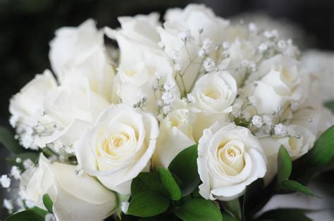 Forever88 White Rose Bridal Bouquets