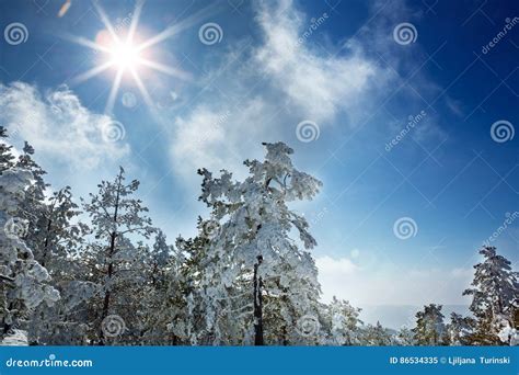 Snowy Sunshine Winter Landscape In The Mountains Stock Image Image Of