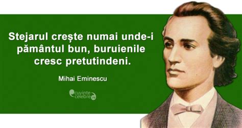Aceasta pagina a fost accesata de 4445 ori. Citate Mihai Eminescu