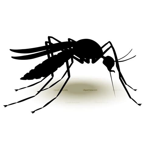 Cartoon Mosquito Clipart Wikiclipart
