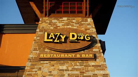 Lazy Dog Restaurant Is Sure to Be Your Top Reason to Eat in Downey
