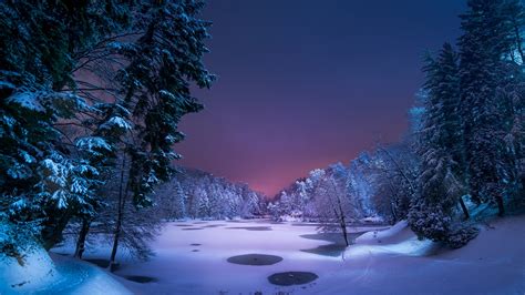 Fondos De Pantalla 1920x1080 Invierno Lago Bosques Nieve Noche